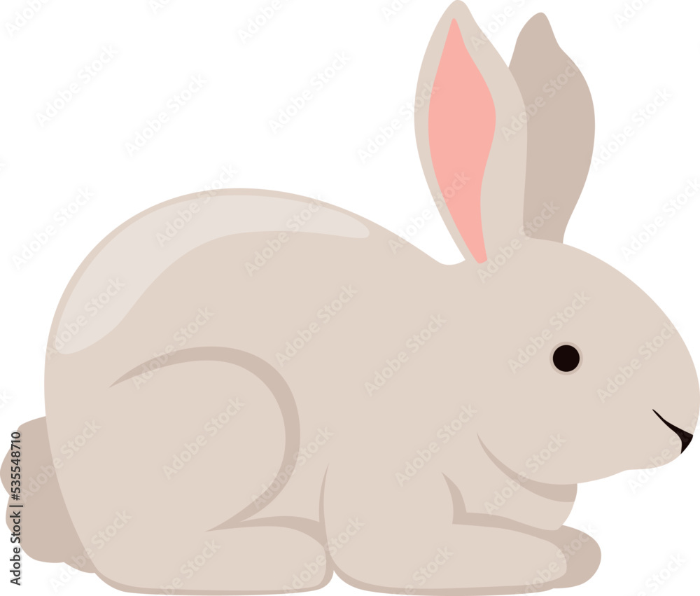 White rabbit. Fluffy cute bunny. Animal icon White rabbit. Fluffy cute bunny. Animal icon