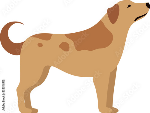 Dog standing. Cartoon pet. Domestic animal character