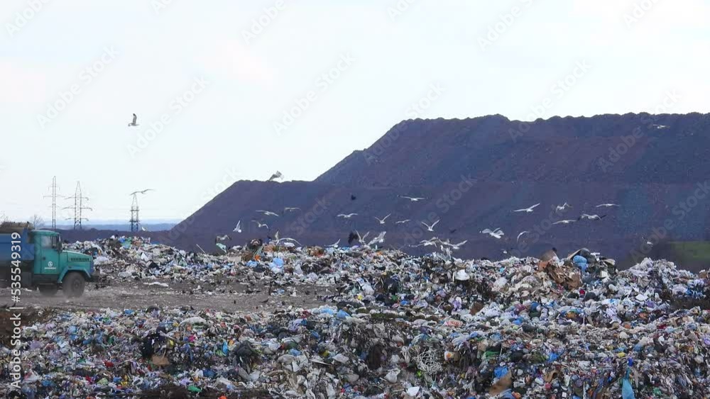 City waste dump. Garbage truck dump garbage. Garbage landfill footage. City waste dump. Garbage truck dump garbage. Garbage landfill footage.