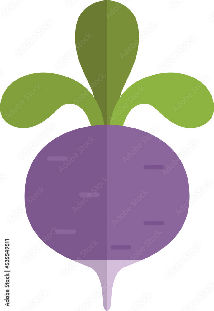 Beetroot flat icon. Sweet farm root vegetable Beetroot flat icon. Sweet farm root vegetable