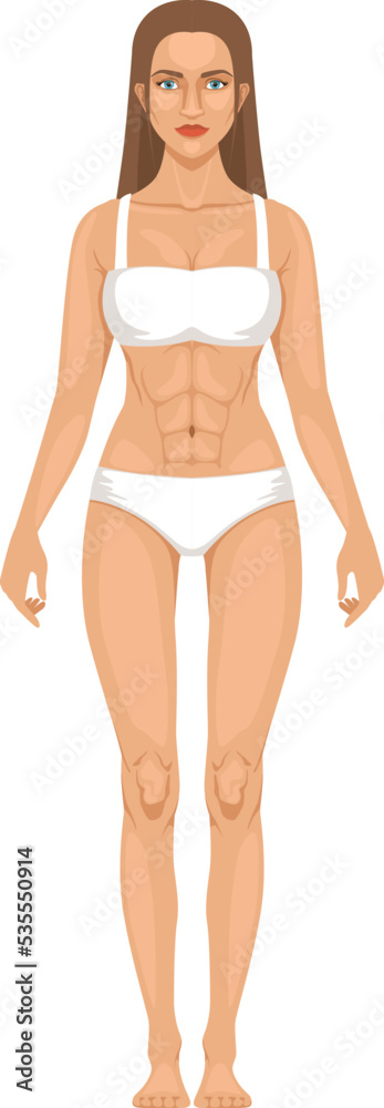 Female figure in underwear. Woman body anatomy icon Female figure in underwear. Woman body anatomy icon