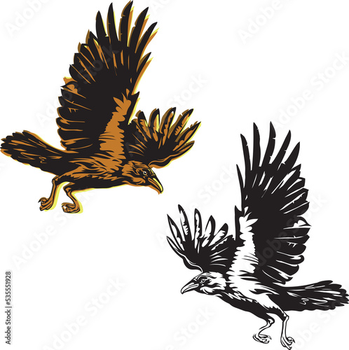 crow, raven, color, flying, vector, silhouette, image, graphic image, image options