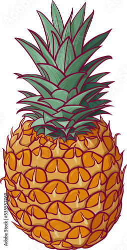 Colorful juicy pineapple. Tropical fresh fruit icon