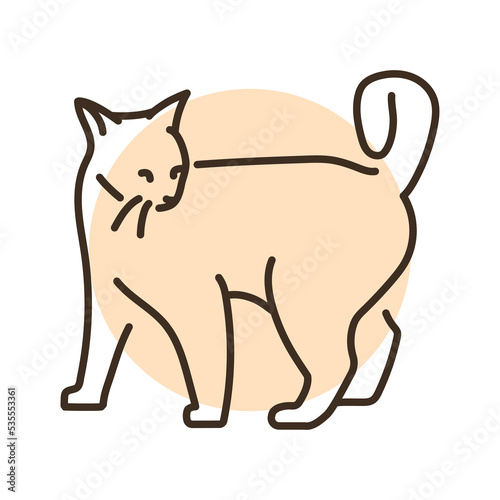 Playful cat standing color line icon. Pictogram for web page
