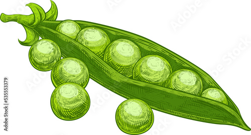 Peas Garden Green Sweet and...