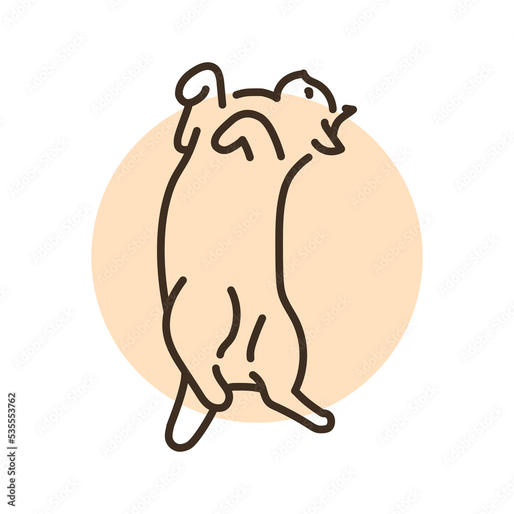 Lying cat on back color line icon. Pictogram for web page