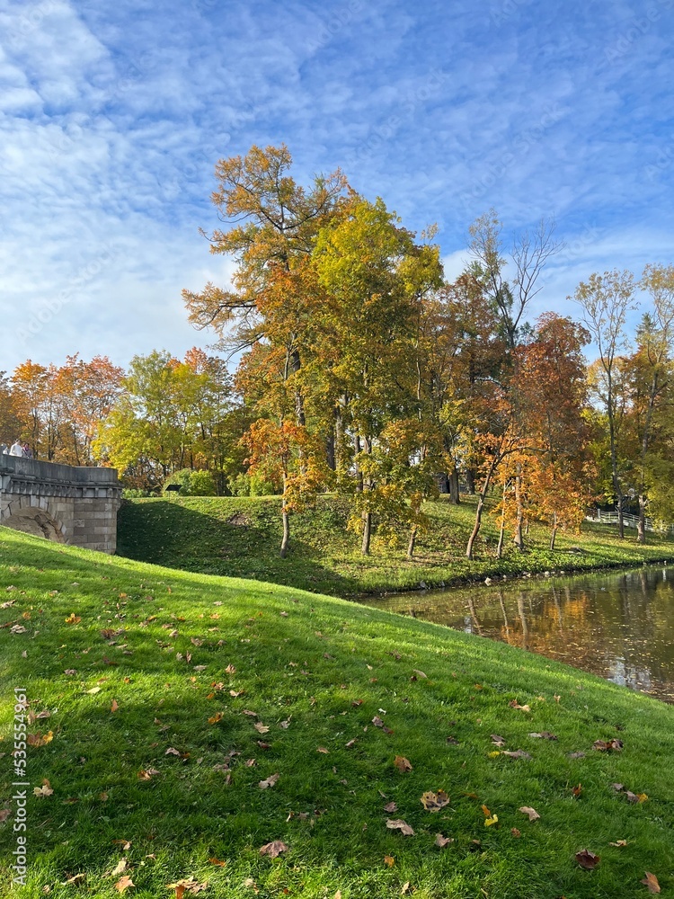 Obraz premium autumn trees reflection on the surface of the pond in the park, golden fall