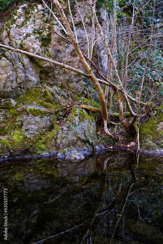 Nature et rivi  re 