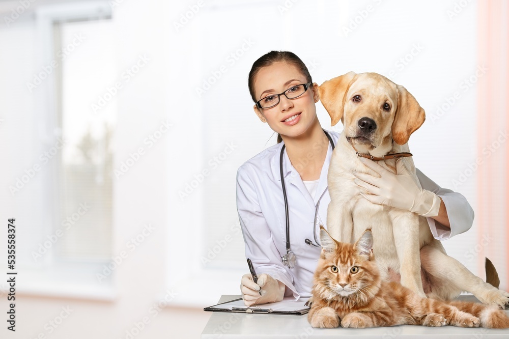 Young woman veterinarian hold a dog pet in clinic