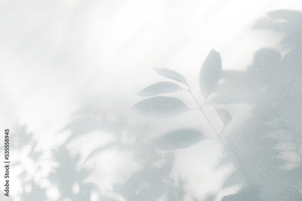 Leaf shadow and light on wall blur background. Nature tropical leaves tree branch plant shade sunlight on white wall texture shadow overlay effect foliage mockup, graphic layout, wallpaper Leaf shadow and light on wall blur background. Nature tropical leaves tree branch plant shade sunlight on white wall texture shadow overlay effect foliage mockup, graphic layout, wallpaper