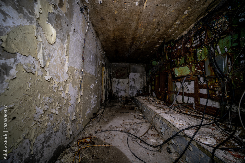 Obraz premium Walter Ulbricht's old winter house, once a symbol of luxury and power in the GDR, now stands as a silent ruin, telling stories from a bygone era