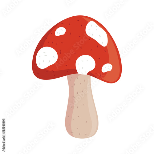 fungus autumn nature