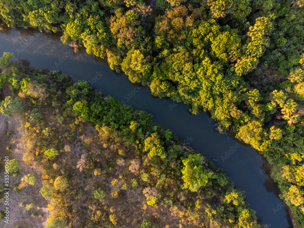 beautiful and narrow river in the low vegetation forest with the rising sun