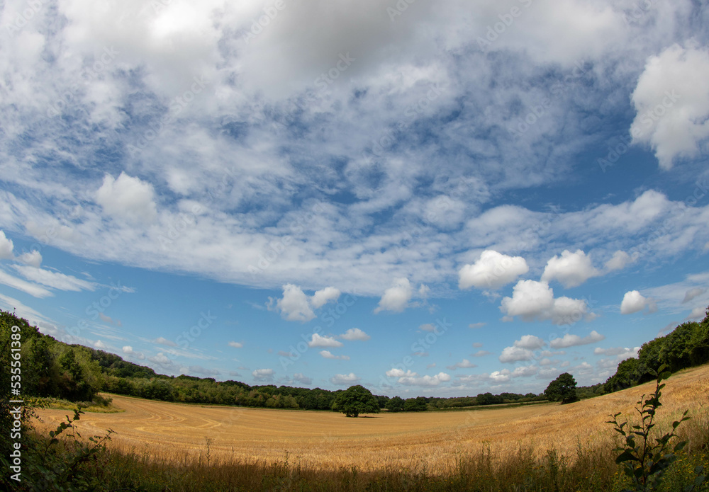 beautiful blue sky with wispy clouds over a field of crops taken with a fisheye lens