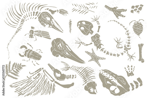 Set of chalk sketch imprints of skeletons of prehistoric animals, insects and plants. Gray archeology, crack rocks fragments , debris boulders. Set of realistic hand drawn art. Vector illustration