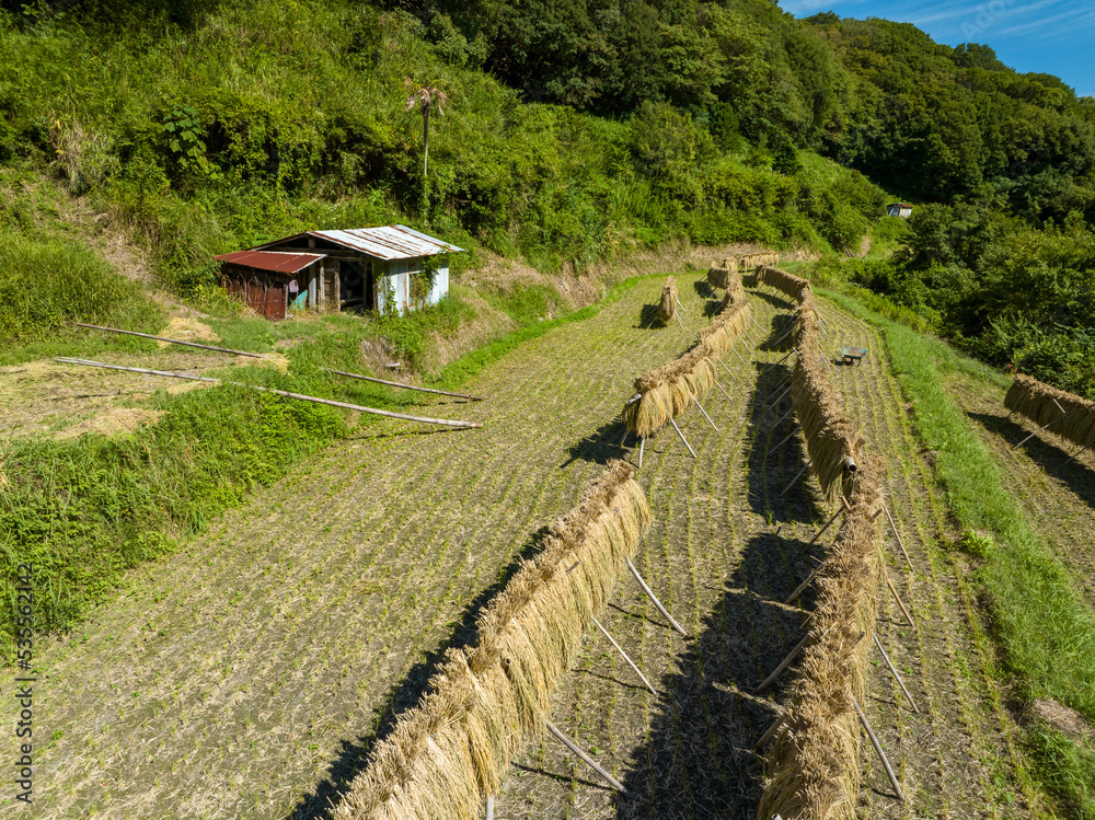 Small shed and rice drying in field on small farm in hills