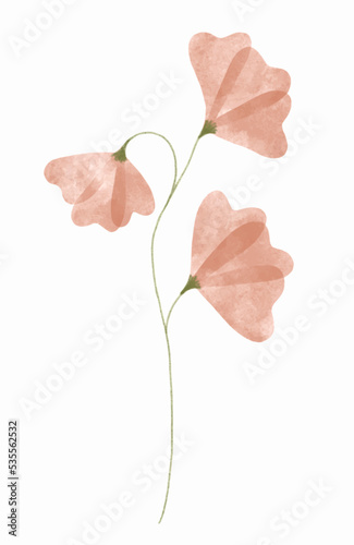 Watercolor trendy flower. Vector illustration for web, app and print. Elegant feminine shape floristic isolated sweet pea flower. Garden, botanical, minimalistic floral element.
