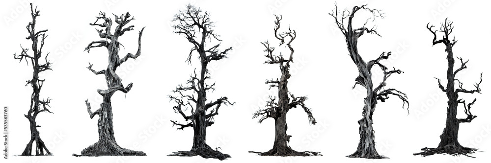 spooky trees, leafless dead wood isolated on white background
