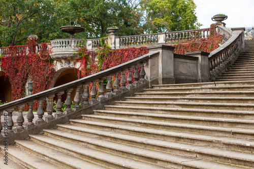stone steps in the park