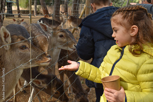 Niños pequeños alimentando ciervos en un zoo 