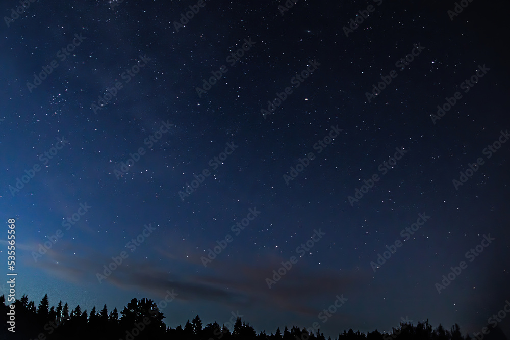 Night starry sky over forest. Tree silhouettes against backdrop of stars. Natural background. Astrophotography, scientific observations of space and solar system.