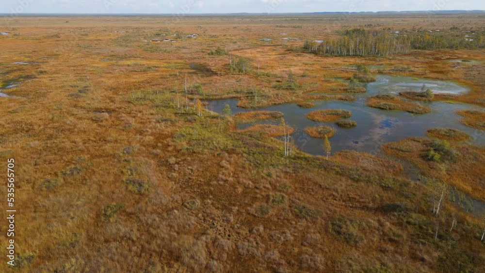 wooden ecotrope in the swamps of Belarus in the autumn afternoon. aerial view wooden ecotrope in the swamps of Belarus in the autumn afternoon. aerial view