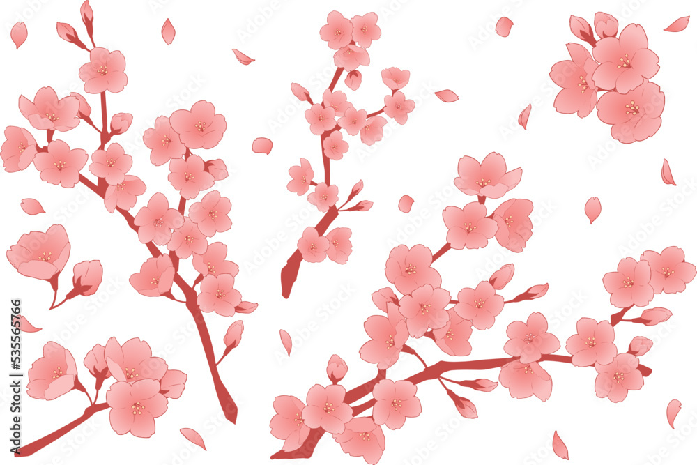 桜の花のイラストセット