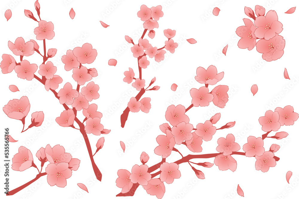 桜の花のイラストセット 桜の花のイラストセット