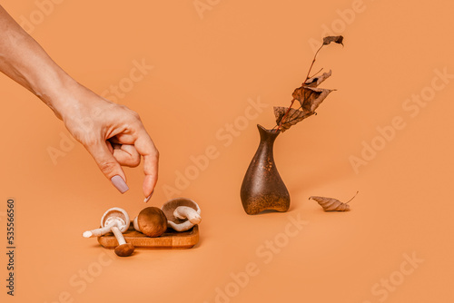 A woman's hand takes ocher mushrooms from a wooden plate. An unusual autumn concept on a Cocha Mocha background. Asymmetric brown vase and dried branch with leaves.Scandinavian style, warm fall tones.