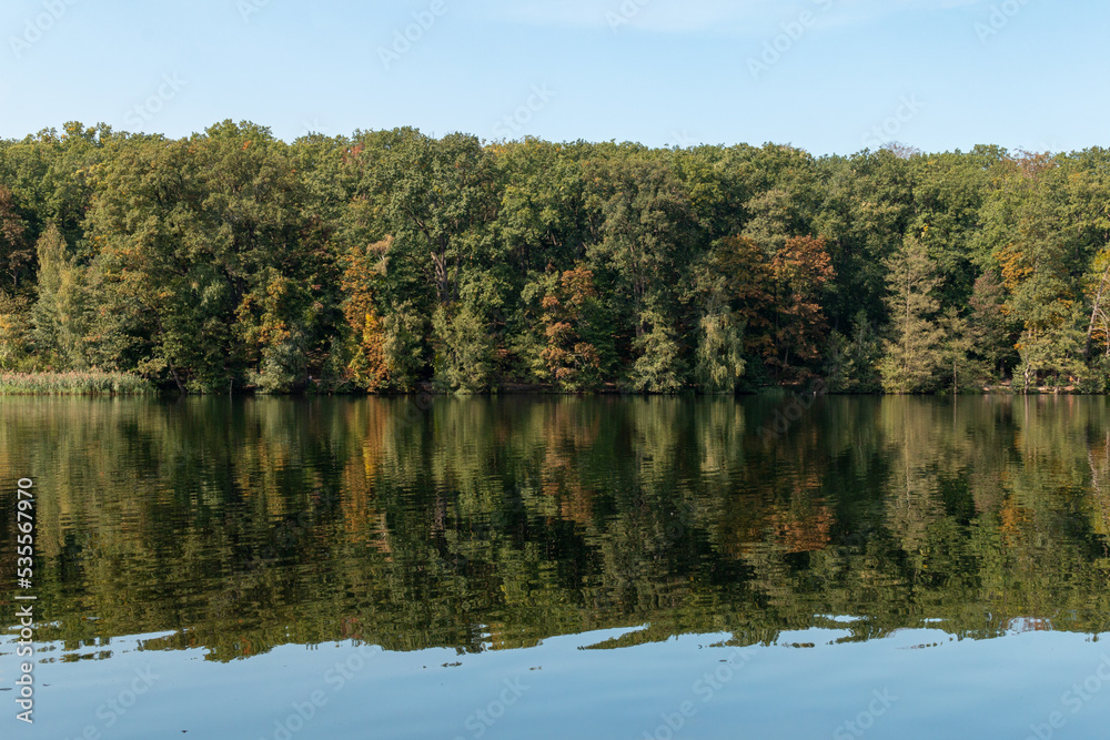 lake with autumn forest reflection