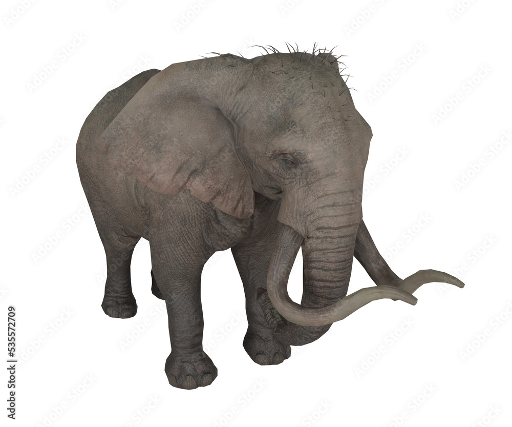 Fototapeta premium 3d rendering realistic elephant animal