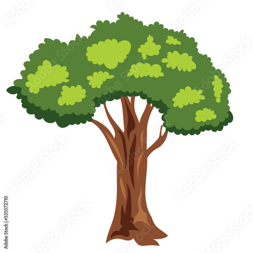 big shady tree