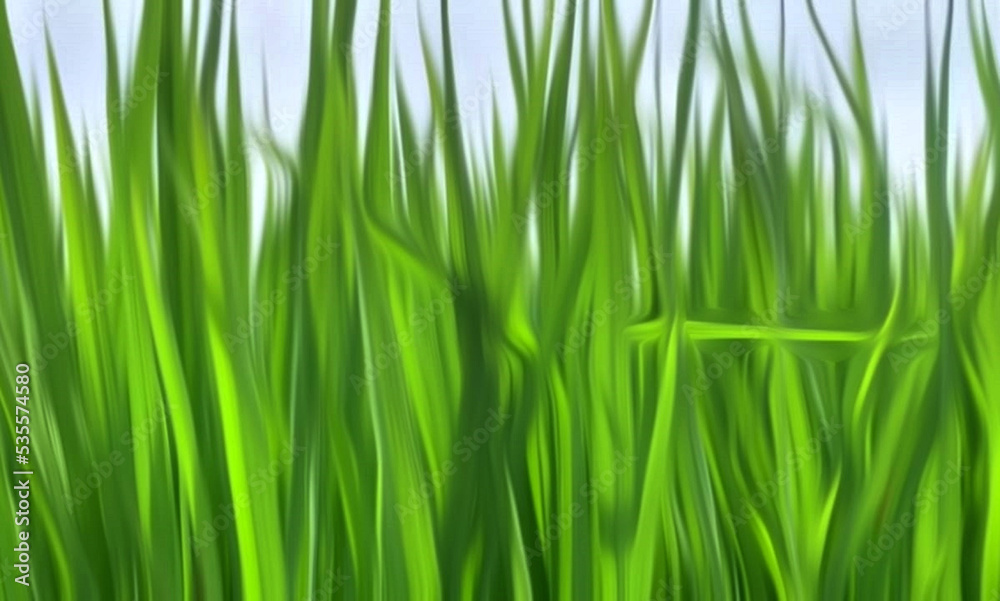 aesthetic and beautiful grass background aesthetic and beautiful grass background