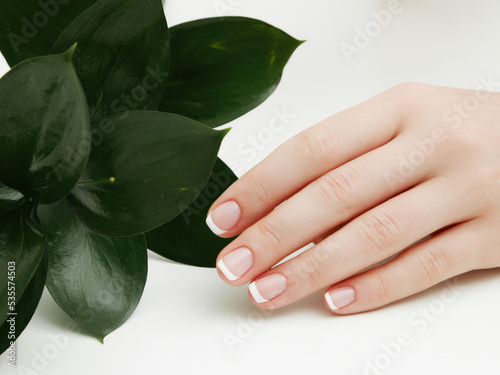 Beautiful woman's hands on light background. Care about hand. Tender palm with natural manicure, clean skin. Light pink nails