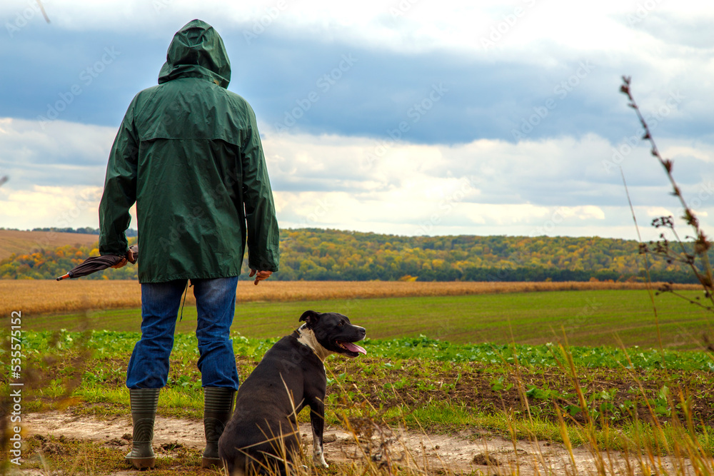 A man walks his dog in a field after a thunderstorm. Guy with staffordshire terrier in nature on a cloudy day. The concept of freedom, happiness, friendship, nature. A man walks his dog in a field after a thunderstorm. Guy with staffordshire terrier in nature on a cloudy day. The concept of freedom, happiness, friendship, nature.