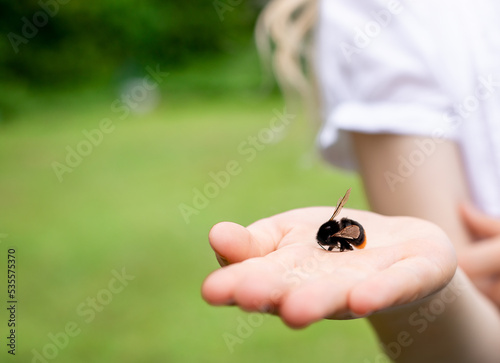 The girl holds a bumblebee on her hand. The unity of man with nature.