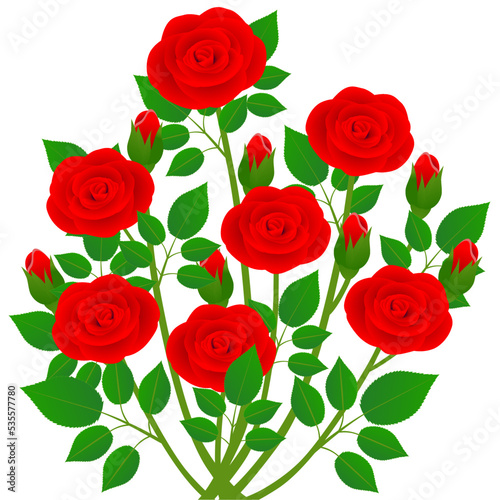 Bouquet of red roses with green leaves on a white background. © zxczxc80