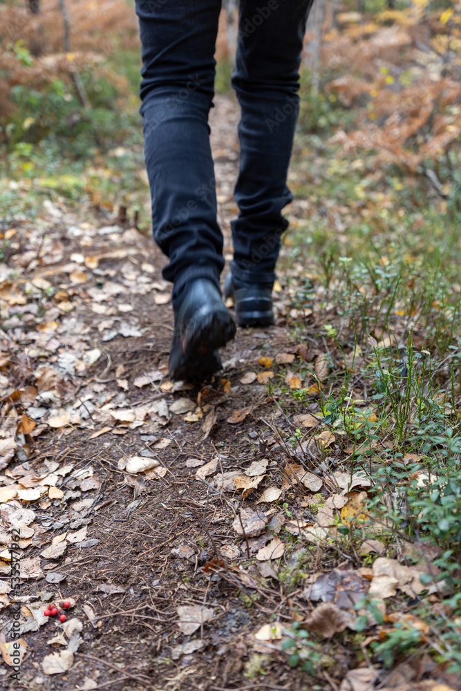 walking away on a path at autumn walking away on a path at autumn