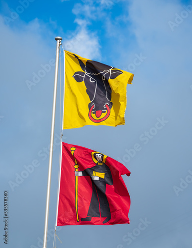 Cantonal flags at the border of cantons Uri (yellow flag) and Glarus (red flag) at Klausenpass in Switzerland photo