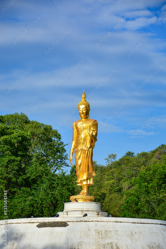buddha statue buddha statue