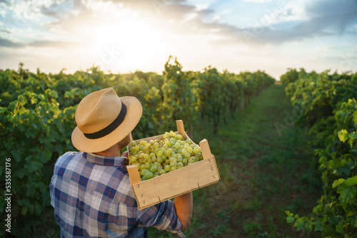 Foto Back view a young farmer man holding box of grapes