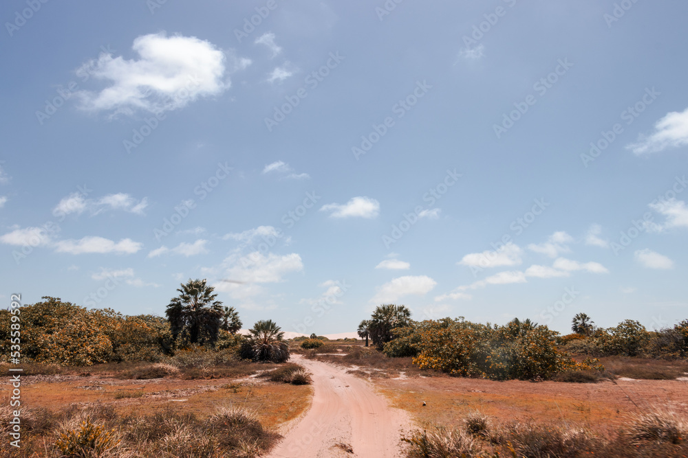 white sand / lençois maranhenses