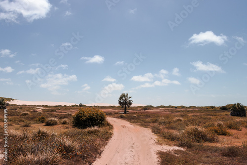 white sand / lençois maranhenses