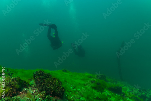 SCUBA divers exploring a strange and alien underwater landscape