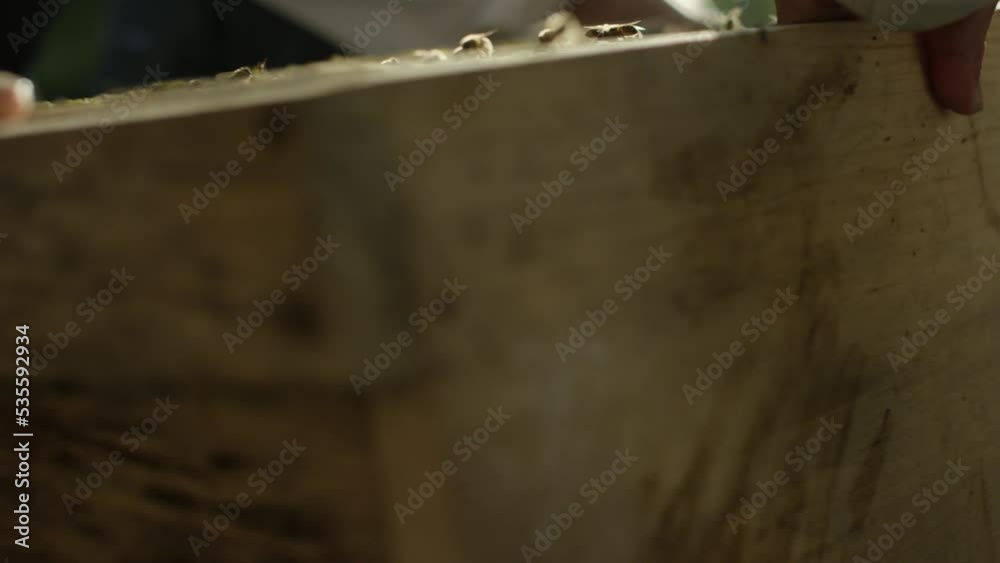 Primitive Guatemala honey bee box being lifted RED 5K.R3D slow motion tight shot. 96 FPS Primitive Guatemala honey bee box being lifted RED 5K.R3D slow motion tight shot. 96 FPS