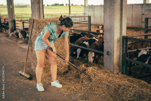 Young farmer girl pushing the calves straw with the brush photo
