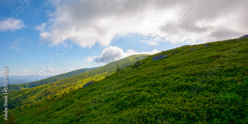 green carpathian landscape in summer. grassy slopes and alpine meadows. clouds on the sky