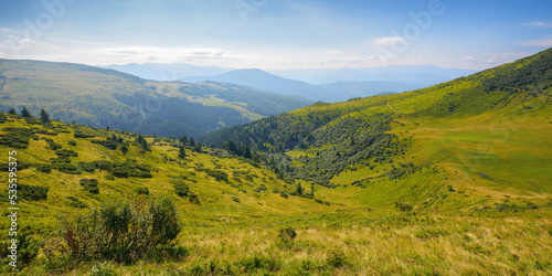 view in to the mountain valley. beautiful summer landscape of trascarpathia with forested hills and grassy alpine meadows © Pellinni