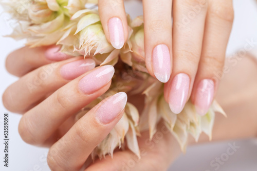 Women s hands with a beautiful pale pink manicure. The girl is holding a white flower. Professional hand care in a beauty salon.