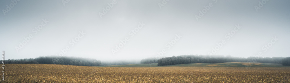 autumn view of the field with corn